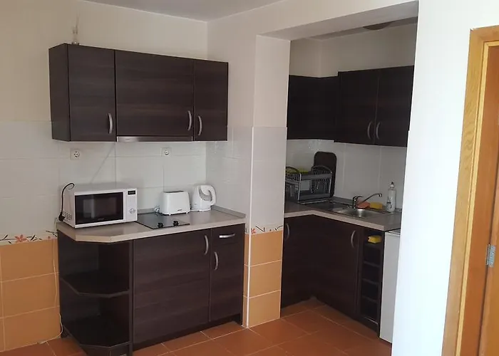 Bukor Shtepi Lux 公寓 *